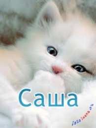 открытки с именем Александр именные открытки на праздники и каждый день для Александра  