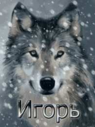 открытки с именем Игорь Красочные именные открытки на разные праздники для Игоря    