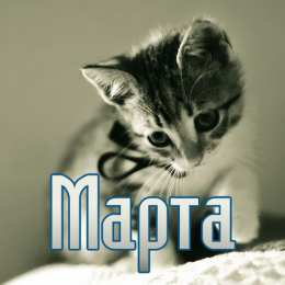 открытки с именем Марта  Именные открытки с поздравлениями и пожеланиями для Марты   