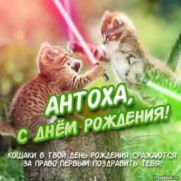 открытки с именем Антон  Именные открытки на праздники и каждый день для Антона         