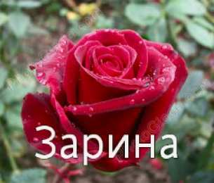 открытки с именем Зарина  Именные открытки с поздравлениями и пожеланиями для Зарины  