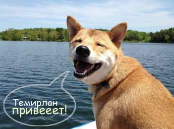 Открытки с именем Темирлан Яркие и красочные именные  открытки для Темирлана                      