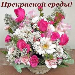 открытки с пожеланиями хорошей среды Яркие и веселые открытки с пожеланиями  замечательной среды   