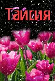 открытки с именем Таисия  Именные открытки с поздравлениями и пожеланиями для Таисии   