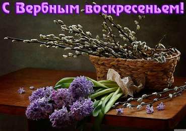 открытки с вербным воскресеньем  Красивые открытки с теплыми пожеланиями на вербное воскресенье 