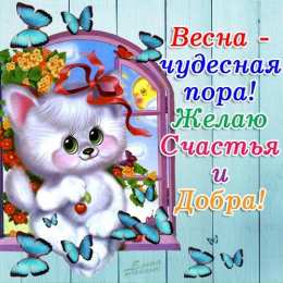 открытки с первым весенним днем Красивые  открытки с пожеланиями в первый весенний день. С весной 