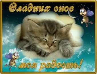 открытки с пожеланиями спокойной ночи  Красивые открытки с пожеланиями  спокойной  ночи. Спокойной ночи 