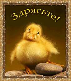 открытки с приветствием  Яркие и красивые открытки с приветствием на каждый  день          