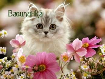 Открытки открытки с именем Василиса  Открытки с поздравлениями и пожеланиями для Василисы         Открытки с поздравлениями и пожеланиями для Василисы. Дорогой и любимой Ваське. Именные открытки с поздравлениями и пожеланиями для Василисы. Открытки на разные праздники 