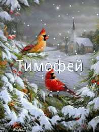 Открытки с именем Тимофей Яркие и красочные именные открытки для Тимофея                   