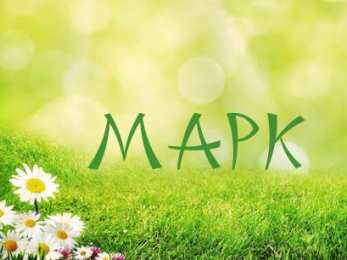 Открытки с именем Марк  Яркие и красочные именные открытки для Марка                    