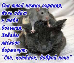 открытки с пожеланиями спокойной ночи  Красивые открытки с пожеланиями  спокойной  ночи. Спокойной ночи 