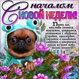 открытки с пожеланиями хорошей недели  Яркие открытки с пожеланиями удачной и продуктивной недели    