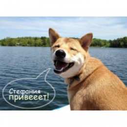 открытки с именем Стефания Именные открытки с поздравлениями и пожеланиями для Стефании  