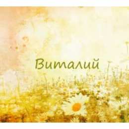 открытки с именем Виталий Именные открытки на праздники и каждый день для Виталия      