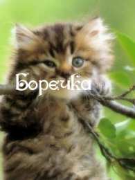 открытки с именем Борис Именные открытки на праздники и каждый день для Бориса       