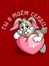 День всех влюбленных Красивые открытки с поздравлениями на день всех влюбленных