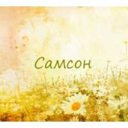 Открытки с именем Самсон Яркие и красивые именные открытки на праздники для Самсона   