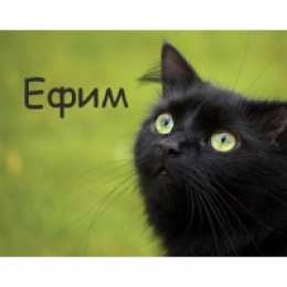 открытки с именем Ефим Именные открытки с поздравлениями и пожеланиями для Ефима    