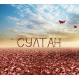 Открытки с именем Султан Яркие и красочные именные открытки с поздравлениями для Султана 