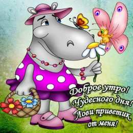 открытки с добрым утром  Яркие открытки  добрым утром. Пожелания доброго утра. С добрым утром 