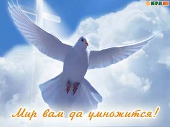 открытки на день мира Красивые открытки на Международный День Мира. С Днем Мира    