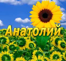 открытки с именем Анатолий Именные открытки с поздравлениями и пожеланиями для Анатолия 