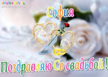 открытки с именем София Именные открытки с поздравлениями и пожеланиями для Софии   
