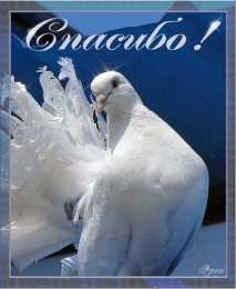 открытки с благодарностью  Милые открытки на каждый день с благодарностью. Спасибо большое 