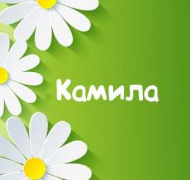 открытки с именем Камилла Именные открытки с пожеланиями на день рождения для Камиллы 