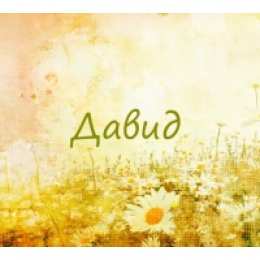 открытки с именем Давид Именные открытки с поздравлениями и пожеланиями для Давида  
