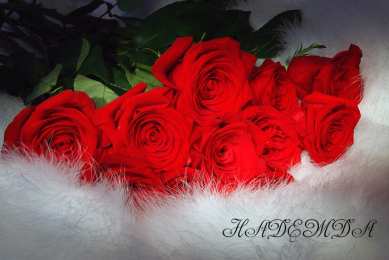 открытки с именем Надежда  Именные открытки с поздравлениями и пожеланиями для Надежды 