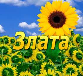 открытки с именем Злата Именные открытки с поздравлениями  и  пожеланиями для Златы  