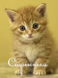 открытки с именем Софья Именные открытки с поздравлениями и пожеланиями для Софьи    