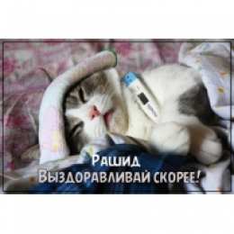 Открытки с именем Рашид Яркие и красочные именные открытки на праздники для Рашида   