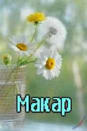 Открытки с именем Макар Яркие и интересные именные открытки на разные праздники для Макара 