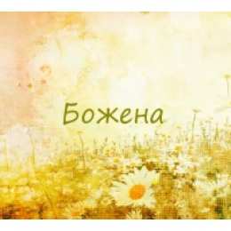 открытки с именем Божена именные открытки с поздравлениями и пожеланиями для Божены  