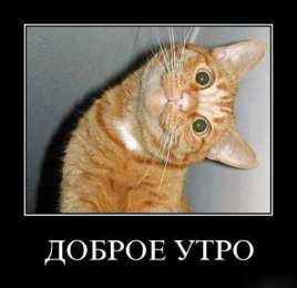 Открытки с приколами доброе утро Открытки с приколами на каждое утро. Доброе утро с юмором   