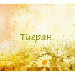 открытки с именем Тигран Яркие и красочные именные открытки для Тиграна                    