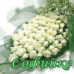 открытки с именем София Именные открытки с поздравлениями и пожеланиями для Софии   