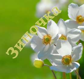 открытки с именем Зина  Красивые именные открытки с поздравлениями и пожеланиями для Зины 