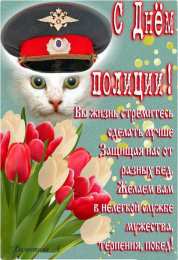 открытки на день полиции  Яркие открытки с поздравлениями на день полиции. День полиции 