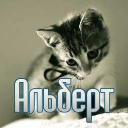 Открытки открытки с именем Альберт Именные открытки на праздники и каждый день для Альберта     С Днем Рождения, Альберт. Открытки с поздравлениями и пожеланиями для Альберта на день рождения. Именные открытки на праздники и каждый день для Альберта        