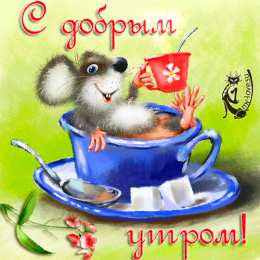 открытки с добрым утром  Яркие открытки  добрым утром. Пожелания доброго утра. С добрым утром 