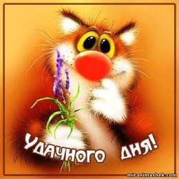 открытки с пожеланиями удачного дня  Красивые открытки с пожеланиями удачного дня. Хороших эмоций 