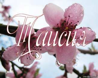 открытки с именем Таисия  Именные открытки с поздравлениями и пожеланиями для Таисии   