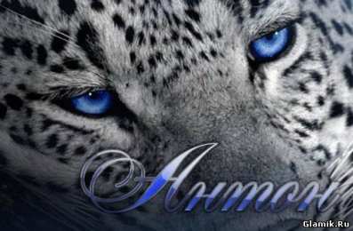 открытки с именем Антон  Именные открытки на праздники и каждый день для Антона         