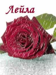 открытки с именем Лейла Именные открытки с поздравлениями на день рождения для Лейлы 