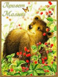 открытки с приветствием  Яркие и красивые открытки с приветствием на каждый  день          