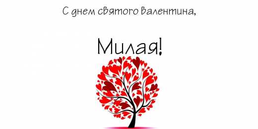 открытки на 14 февраля  Открытки на 14 февраля для любимых